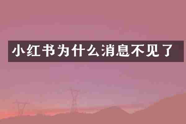 小红书为什么消息不见了