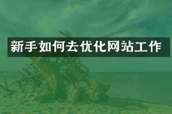 新手如何去优化网站工作