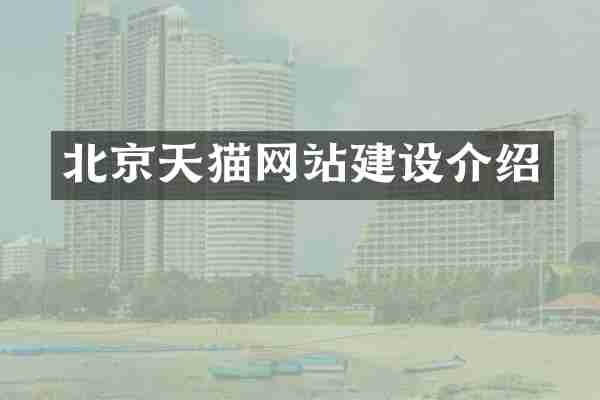 北京天猫网站建设介绍