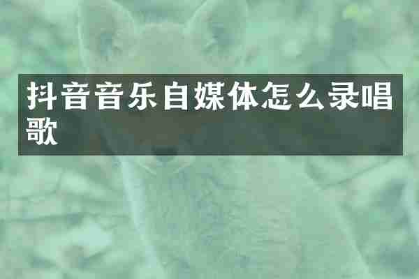 抖音音乐自媒体怎么录唱歌