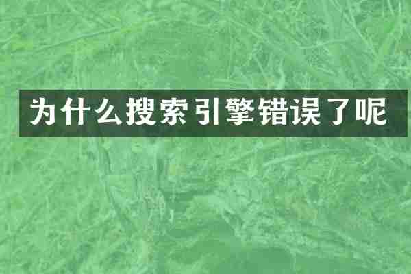 为什么搜索引擎错误了呢