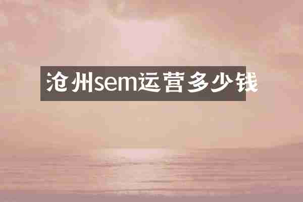 沧州sem运营多少钱