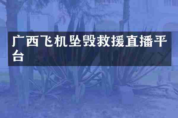 广西飞机坠毁救援直播平台
