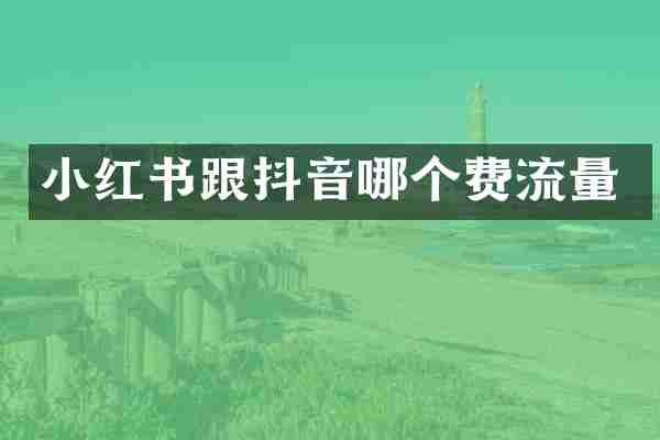 小红书跟抖音哪个费流量
