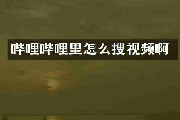 哔哩哔哩里怎么搜视频啊