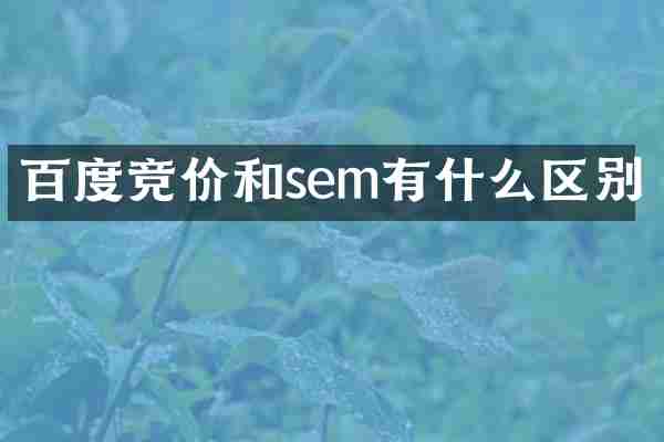 百度竞价和sem有什么区别