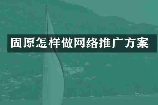 固原怎样做网络推广方案