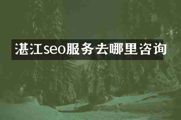 湛江seo服务去哪里咨询