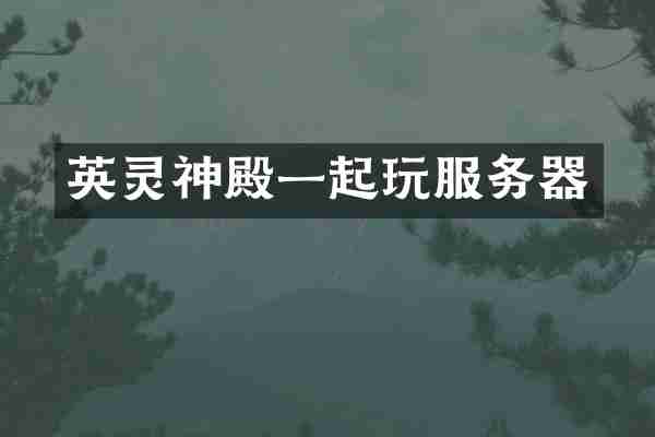 英灵神殿一起玩服务器