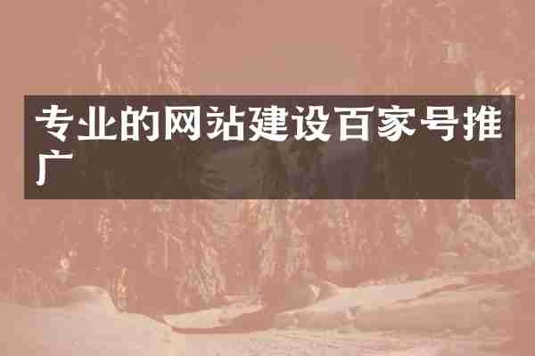 专业的网站建设百家号推广