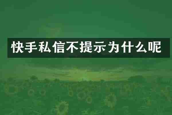 快手私信不提示为什么呢