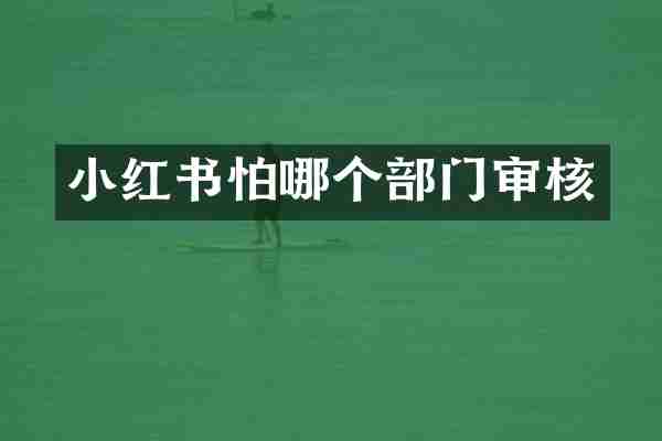 小红书怕哪个部门审核