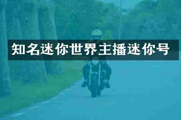 知名迷你世界主播迷你号