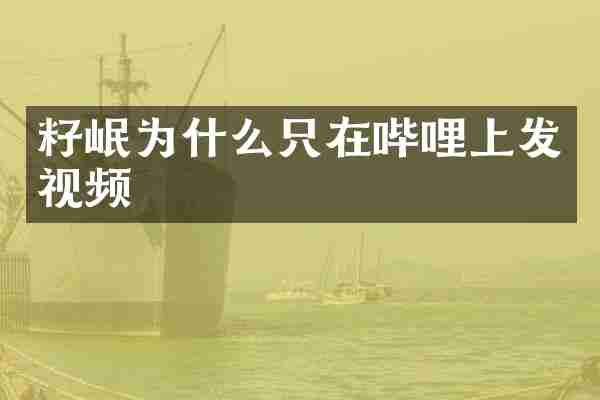 籽岷为什么只在哔哩上发视频