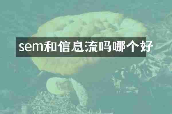 sem和信息流吗哪个好