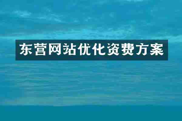 东营网站优化资费方案