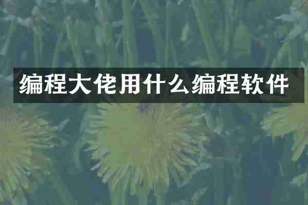 编程大佬用什么编程软件