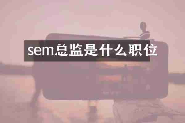 sem总监是什么职位