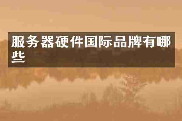 服务器硬件国际品牌有哪些
