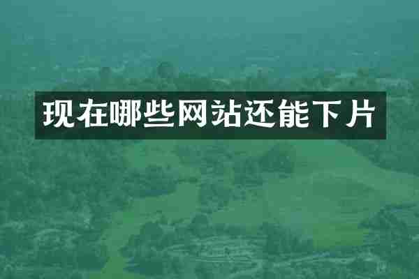 现在哪些网站还能下片