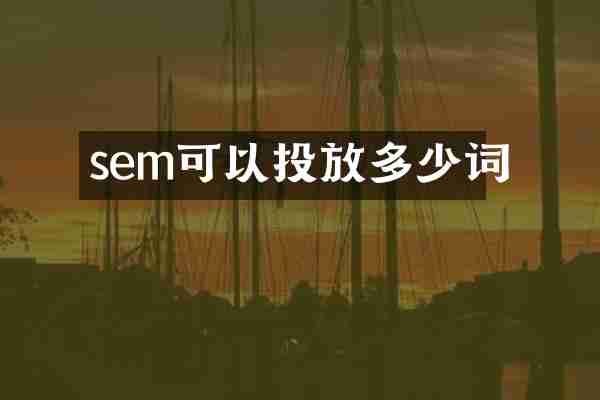 sem可以投放多少词