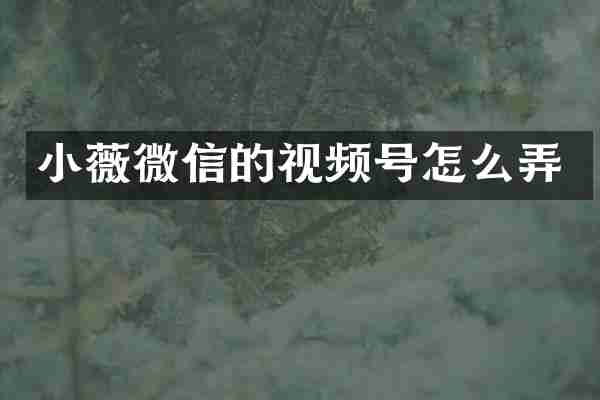 小薇微信的视频号怎么弄
