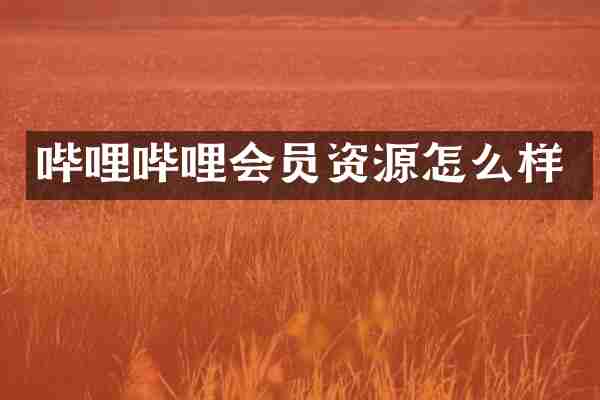 哔哩哔哩会员资源怎么样