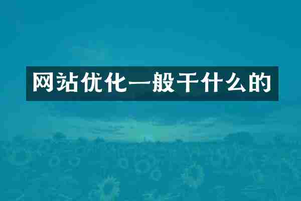 网站优化一般干什么的