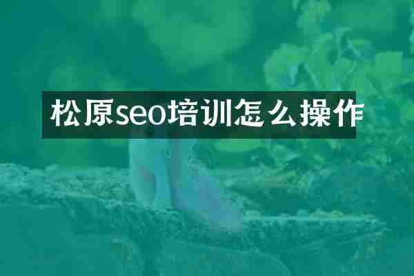 松原seo培训怎么操作