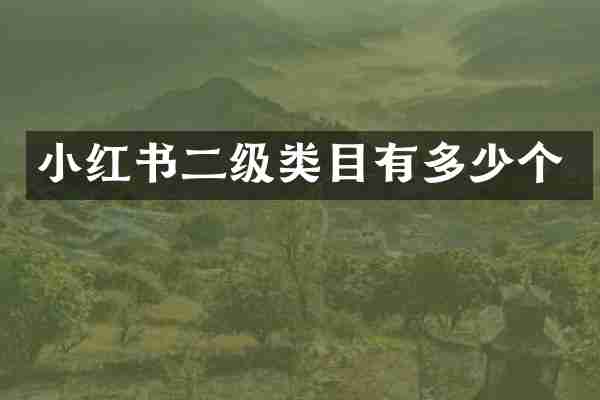 小红书二级类目有多少个