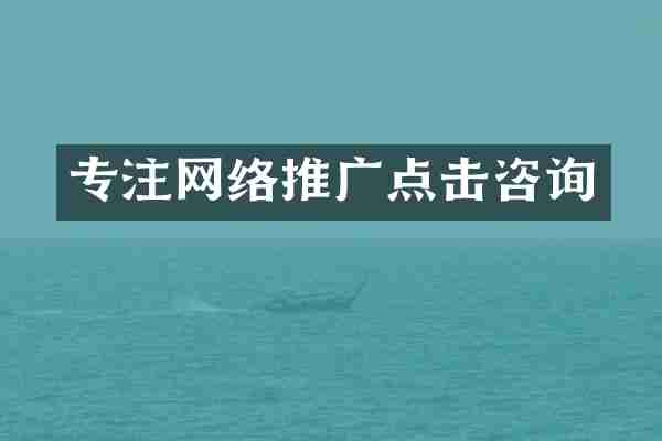 专注网络推广点击咨询