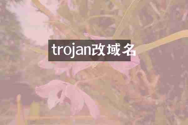 trojan改域名