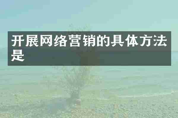开展网络营销的具体方法是