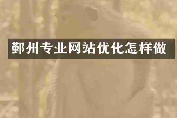 鄞州专业网站优化怎样做