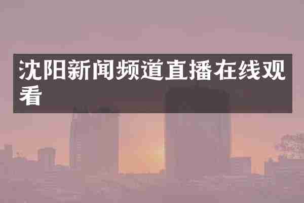 沈阳新闻频道直播在线观看