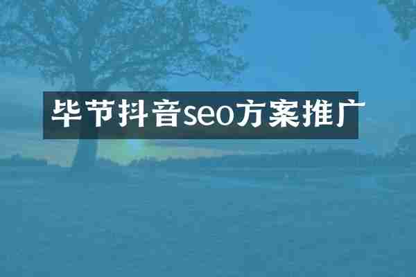毕节抖音seo方案推广