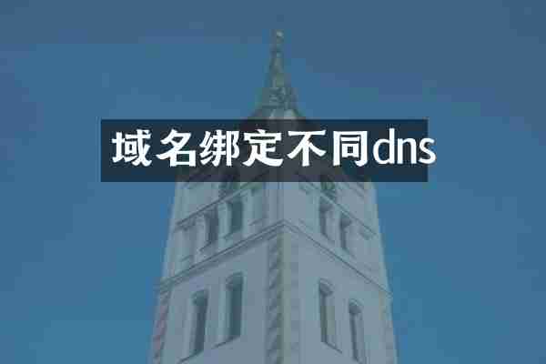 域名绑定不同dns