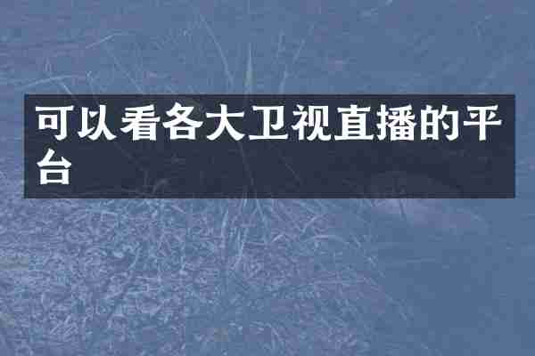 可以看各大卫视直播的平台