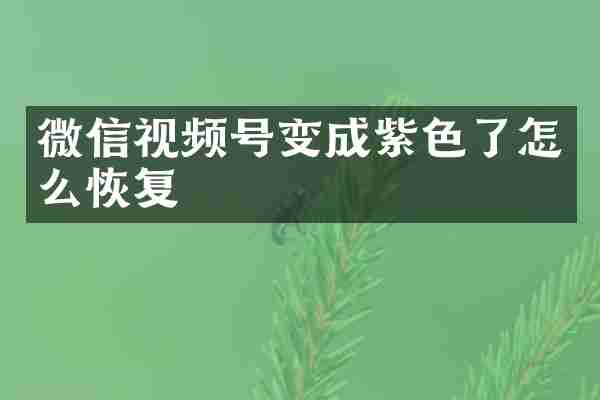 微信视频号变成紫色了怎么恢复