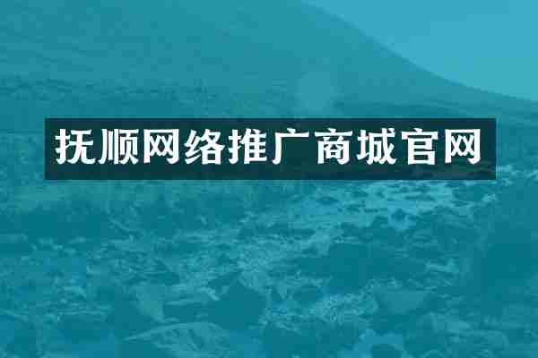 抚顺网络推广商城官网