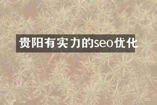 贵阳有实力的seo优化