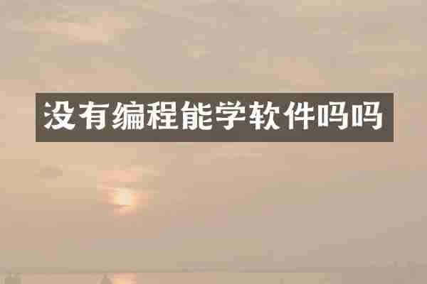 没有编程能学软件吗吗