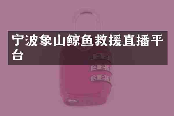 宁波象山鲸鱼救援直播平台
