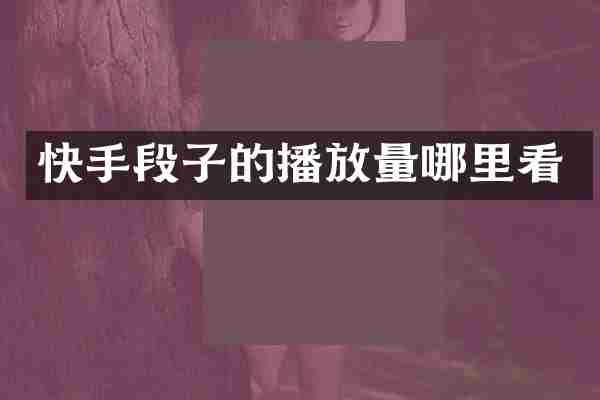 快手段子的播放量哪里看