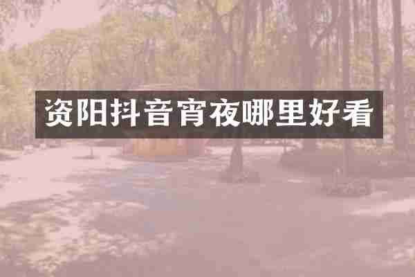 资阳抖音宵夜哪里好看