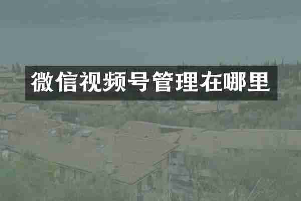 微信视频号管理在哪里