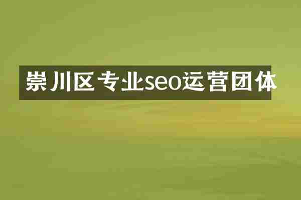 崇川区专业seo运营团体