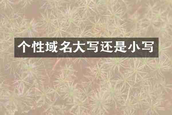 个性域名大写还是小写