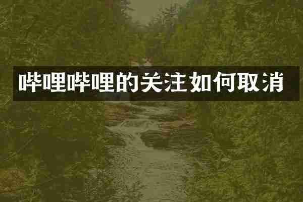 哔哩哔哩的关注如何取消