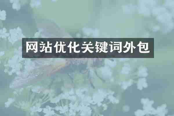 网站优化关键词外包